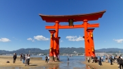 12-Ile Miyajima (3)